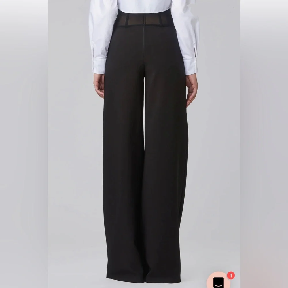 Murmur Sheer Waist Corset Pants Mesh FRAME TROUSERS palazzo wide leg boning mur - Picture 8 of 16